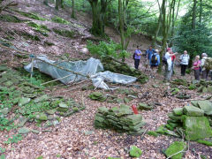 
Hollybush Cottage, Nant Carn, Cwmcarn, July 2011